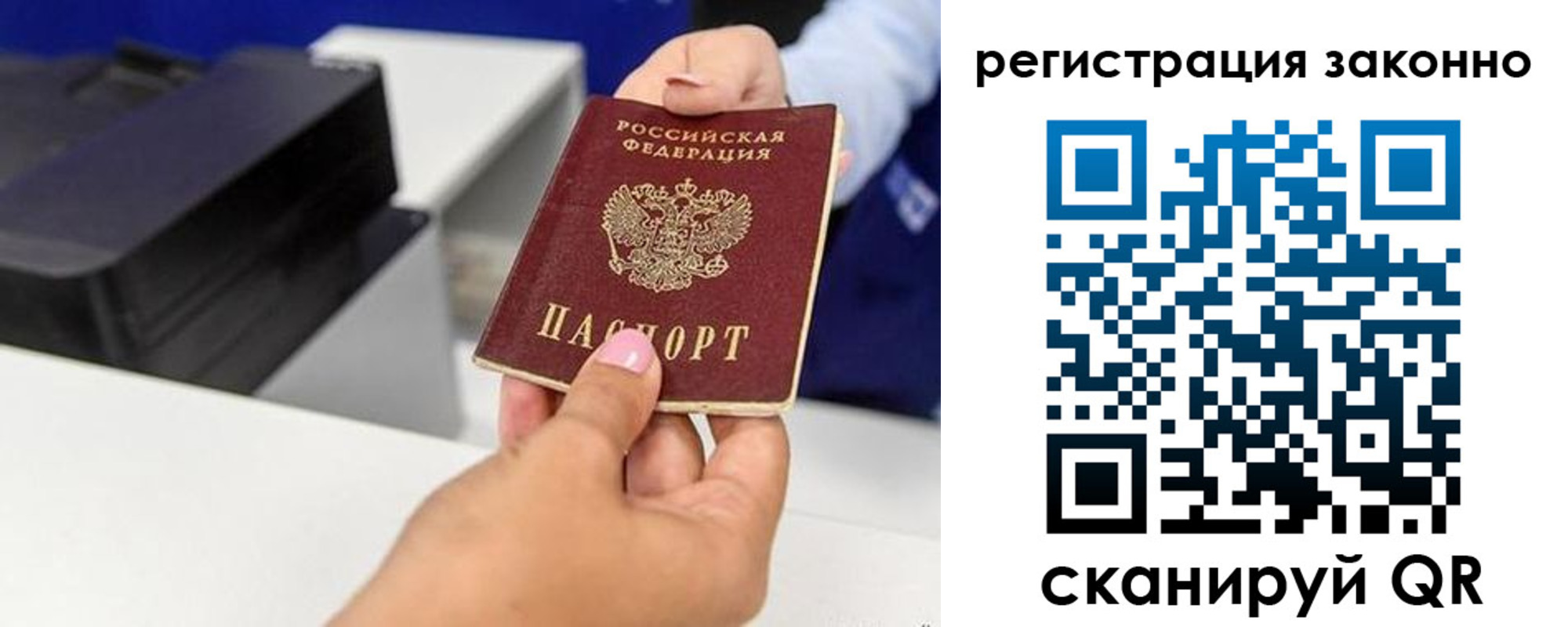 прописка для школы в Плавске